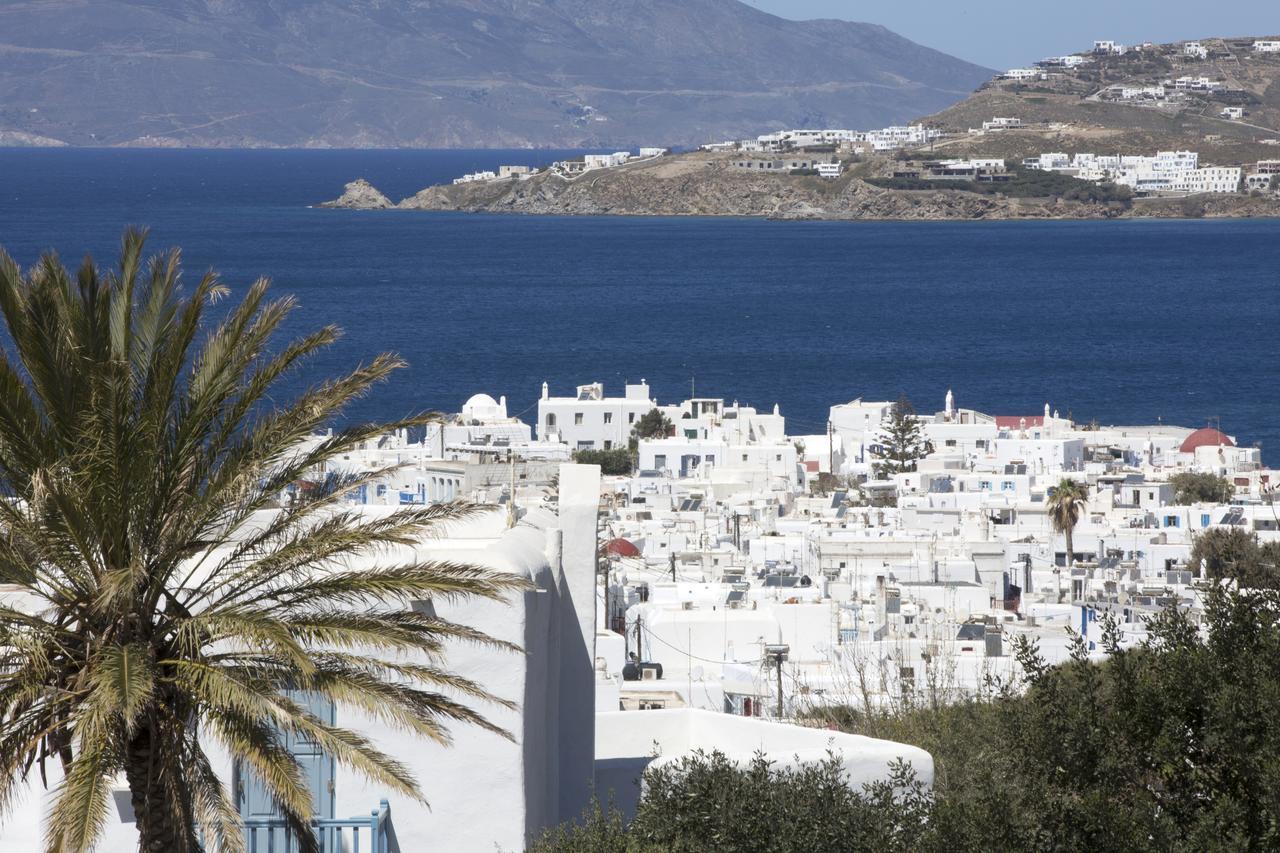 Despotiko Hotel Mykonos Town Exterior foto